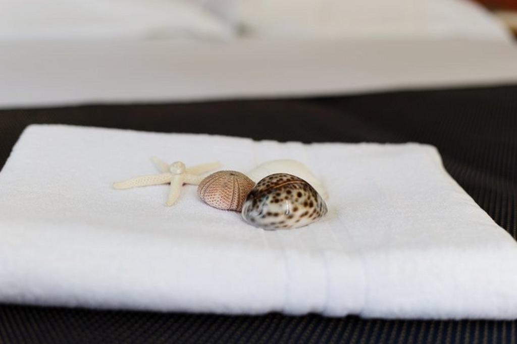 Hotel Byron Solo Per Giovani Riccione Zimmer foto
